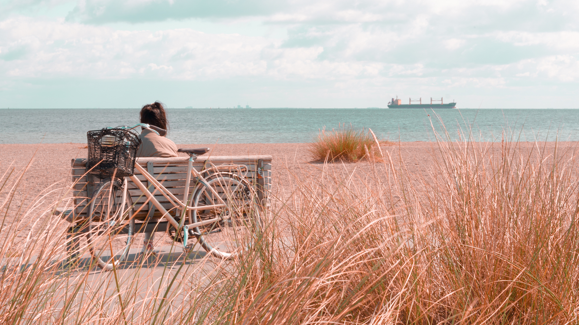 image from copenhagen