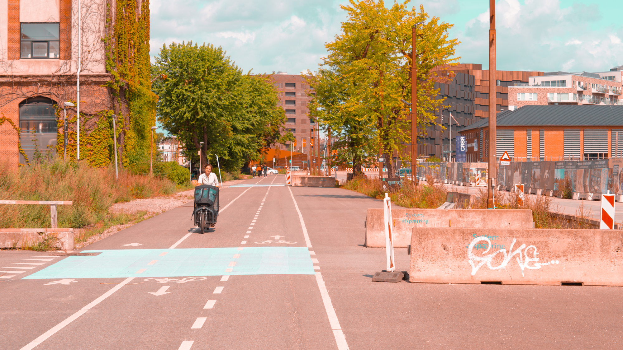 image from copenhagen